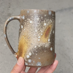 Fundraising Page: Serene Fang